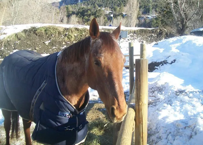 Sole Apartament Morgex